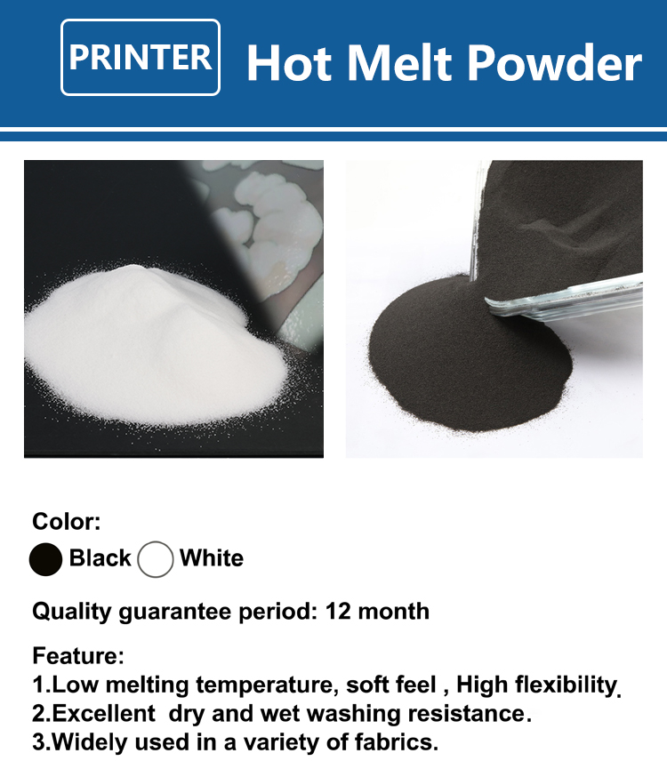 1000g 1kg DTF powder Fine powd - Commercial Fabric Printing Machine avis et prix